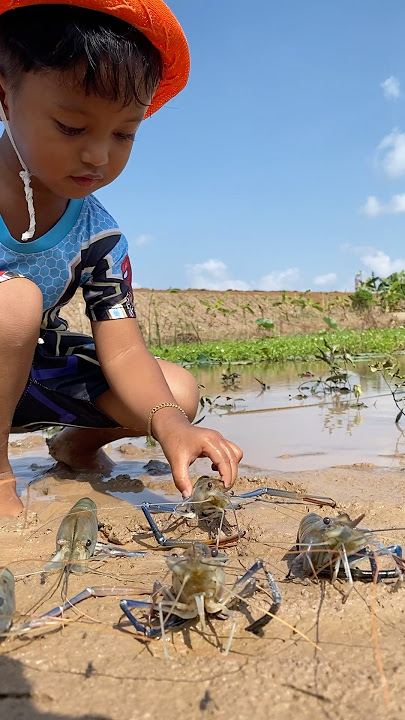 Lovely boy caught🦐 #kidsvideo #kidboy #cute
