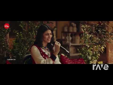 Pasoori  x  Mann Mera (Mashup Remix)