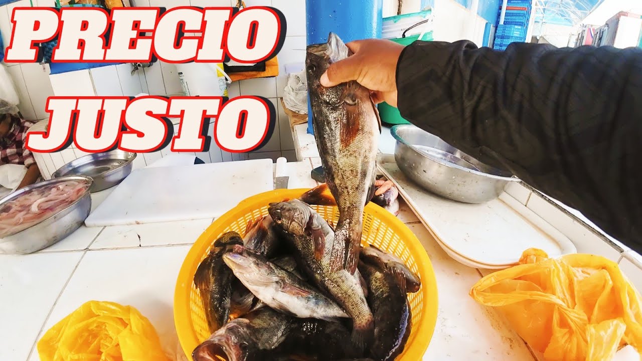MI TOURS DE PESCA DE CABRILLAS | A ESTE PRECIO LO VENDÍ |Tablita Fishing