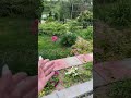 Готовимся к грозе надеюсь прогноз не сбудется 