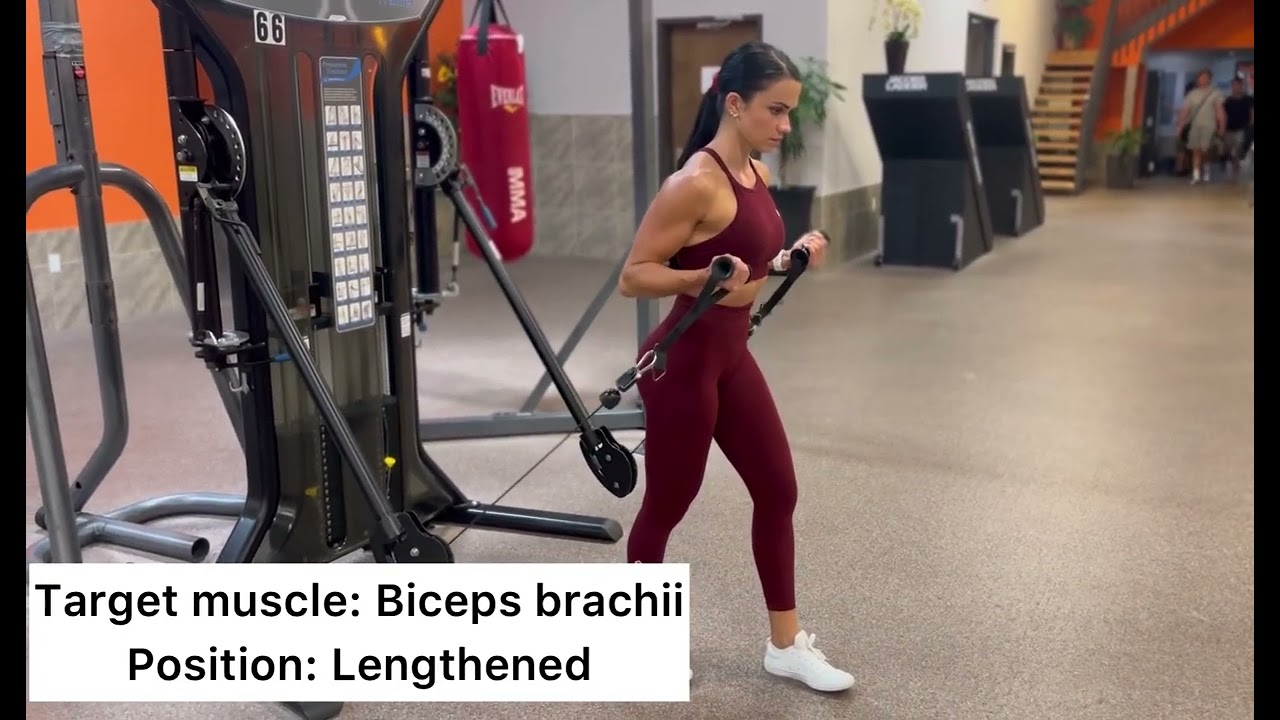 Face Away Cable Curl YouTube