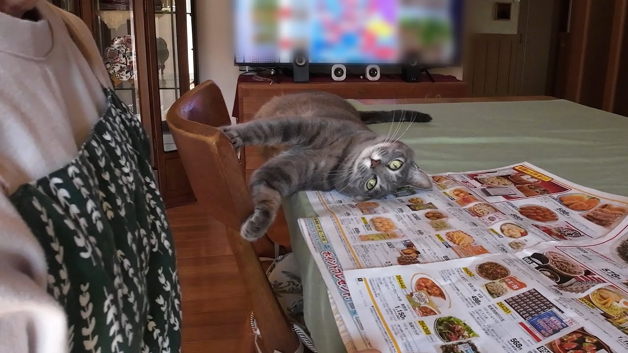 maxresdefault.jpg