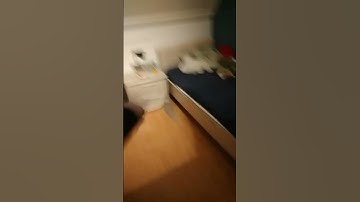 punching a random object everyday, day 4 - inspired from: @iwannacommitapoptosis