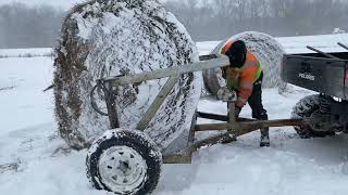 UnRolling Hay in the Snow and Ice
