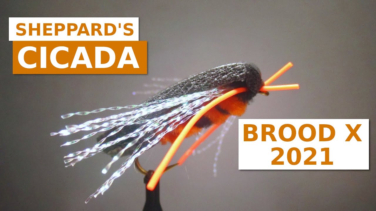 Fly Tying a Cicada (Brood X, 2021) - YouTube