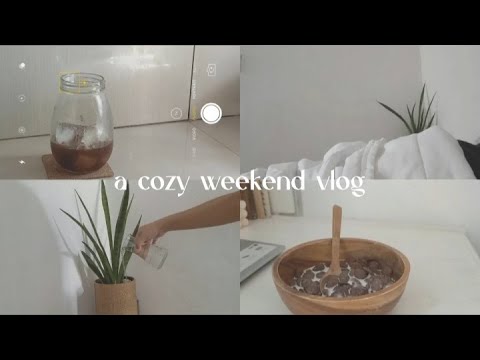 🍄 a cozy weekend vlog ☁📖☕ lots of food, studying, readings, binge watching anime // vlog #2