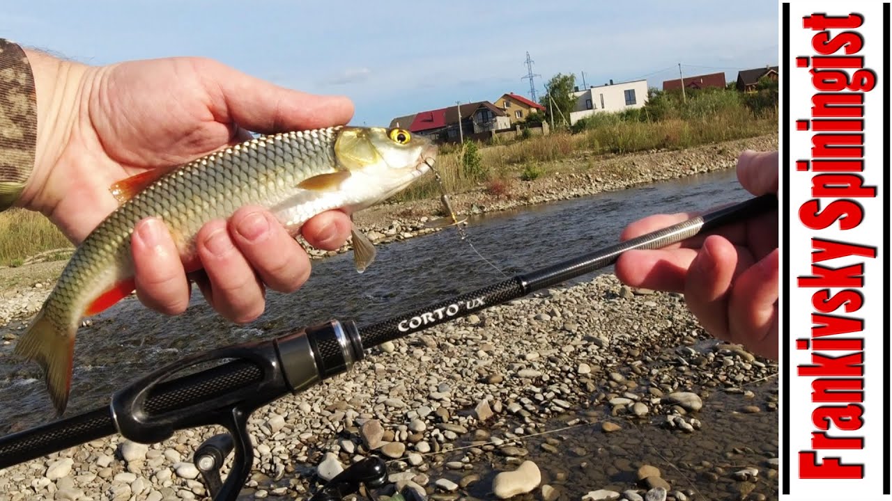 Тестую Graphiteleader Corto UX 23GCORUS-742L-T по головню ▪️ Серпневий хижак на р. Бистриця