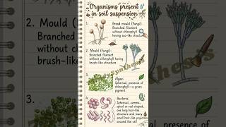 Organisms in Soil Suspension #curiosity #class8 #science #studymaterial #soil #microorganisms#ncert