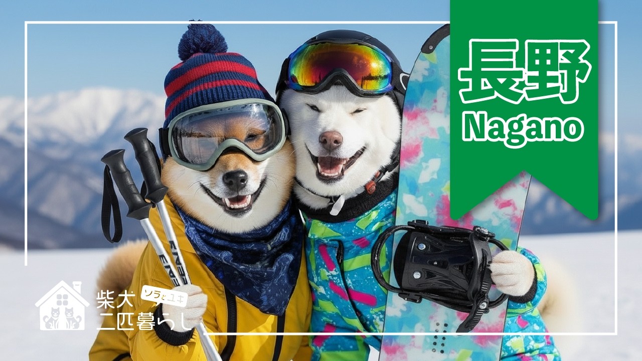 【柴犬ソラとユキ】雪景色に癒される長野の冬旅｜A Winter Journey in Nagano: Healed by Snowy Landscapes