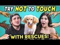 Try Not To Touch Challenge (ft. Rescue Animals! | Best Friends)