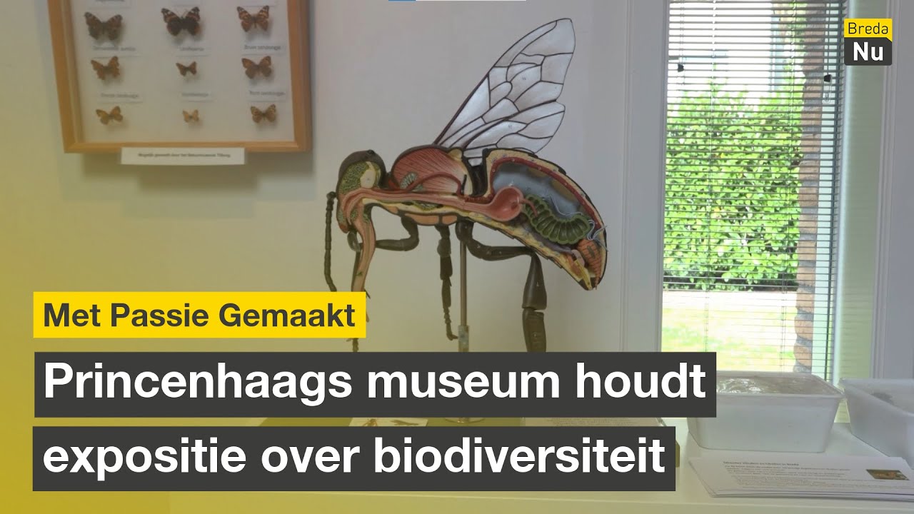 Princenhaags museum houdt expositie over biodiversiteit | Met Passie Gemaakt