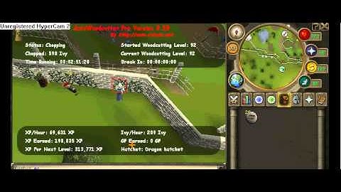 Rsbots.net AutoWoodcutter Pro