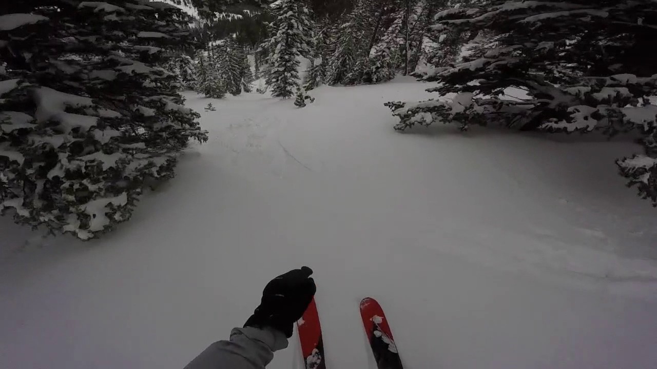 Februburied in Jackson Hole