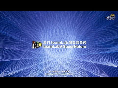 澳门teamLab超自然空间: teamLab SuperNature Macao亮点视频  / teamLab SuperNature Macao Highlight Video