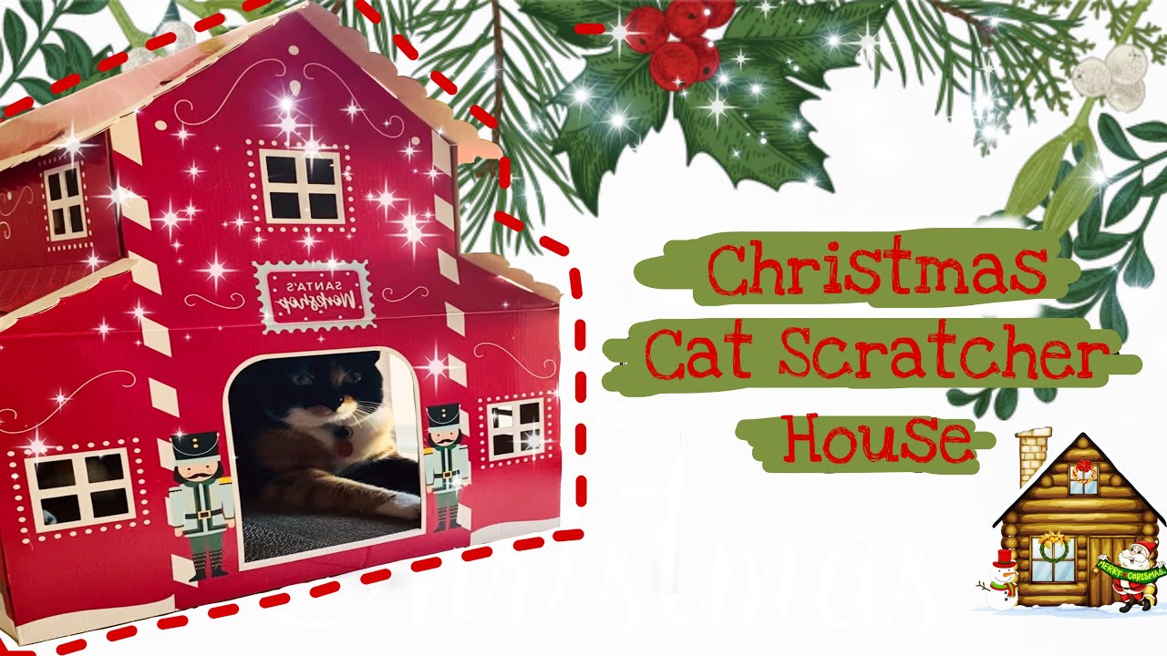 CHRISTMAS CAT SCRATCHER HOUSE UNBOXING AND ASSEMBLING ll Purfect