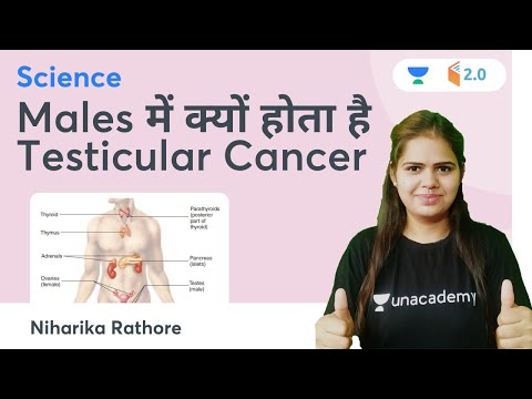 Males में क्यों होता है Testicular Cancer जानिए By Dhaasu Maam | Niharika Rathore | Wifistudy 2.0