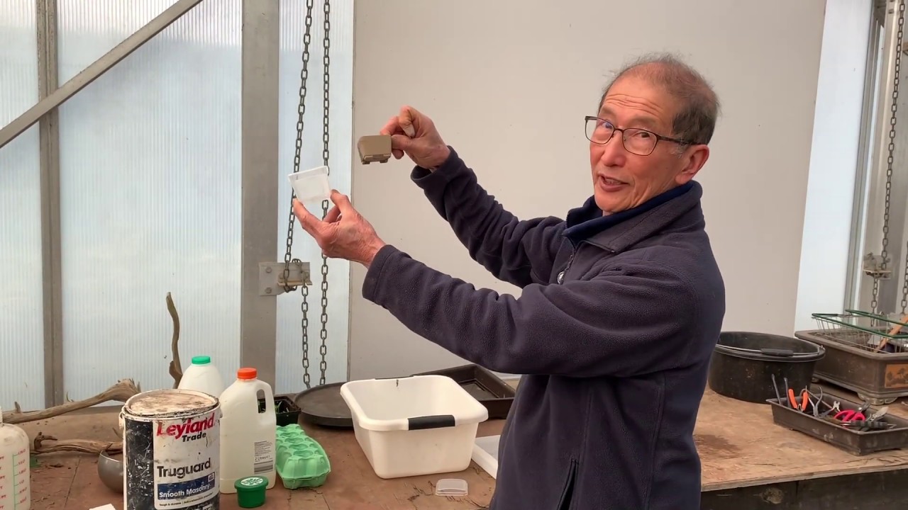 Recycle and Save the Planet - Bonsai