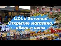 Открытие немецкого магазина Lidl в Эстонии.Обзор магазина Лидл в Таллинне.Цены на товары.Влог