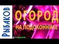 ОГОРОД НА ПОДОКОННИКЕ. Как сделать огород на подоконнике!