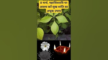 8 मार्च, महाशिवरात्रि पर अवश्य करें सुख शांति का अचूक उपाय | #pandit_pradeep_ji_mishra #upay #shorts