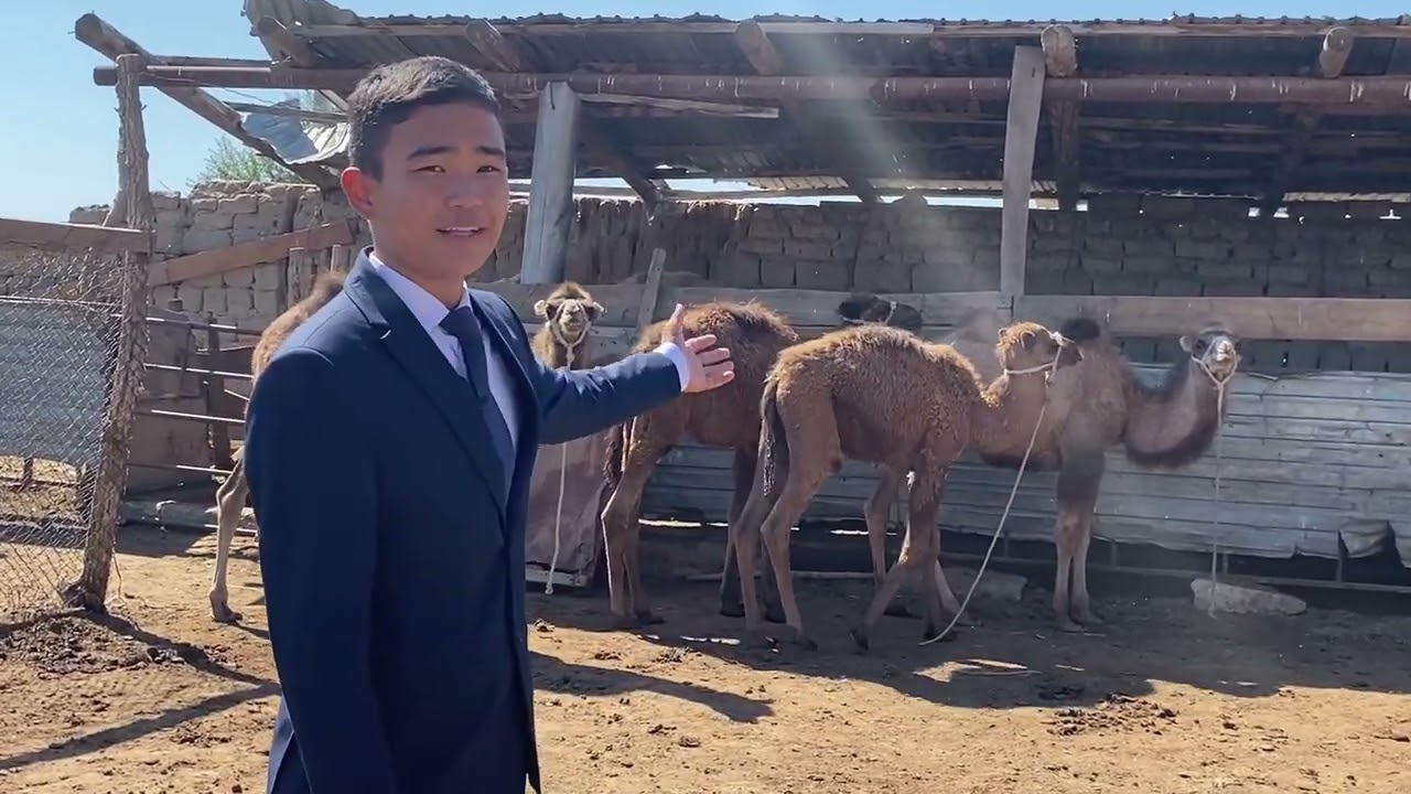 Арқабек Нұрбол “Менің кіші отаным” байқауы.Шахан (Чапаев) ауылының тарихы