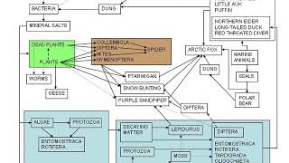 Systems biology modeling | Wikipedia audio article