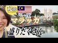 【52歳。マレーシア・マラッカ1人歩き】4か国25日間の旅💙第9章🪭次はいつ？ユネスコ遺産の祭りに遭遇🕌突撃！隣のモスクに行ったら夕飯もらう🤤今回は盛りだくさんでお届けします💗