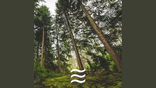 Arbor for Soft Sleep Noises Sound screenshot 5