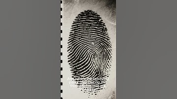 Your Fingerprints Can Be Stolen From Photos☝️ #shorts