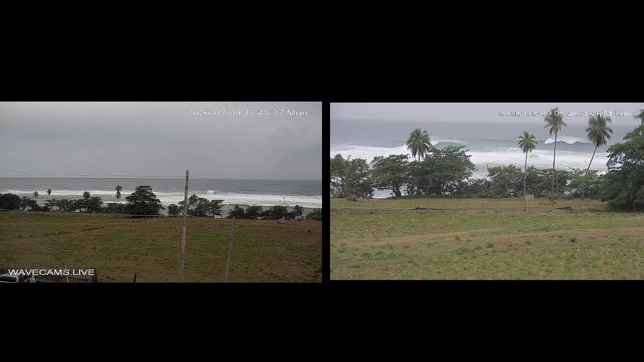 Tres Palmas Rincon Puerto Rico 2.9.2026