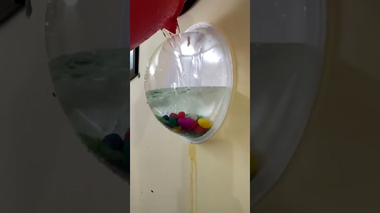 Wall mounted aquarium 