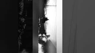 s.t.a.l.k.e.r - Monolith С.т.а.л.к.е.р - Монолит     #stalker #monolith #сталкер #монолит