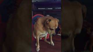 Fireside Chats With Sprocket Episode 1