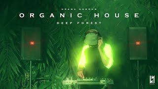 Deep Forest | ORGANIC HOUSE | DEEP HOUSE | Live Dj