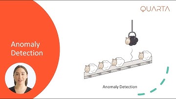Quarta Anomaly Detector
