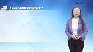 3 3 进程控制块及Linux中的task struct结构