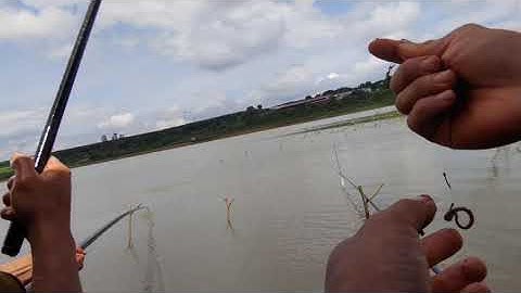 Những Pha Đóng Cá Rít Cước