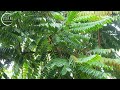 6 Hours of Soothing Rain with Relaxing Piano Music