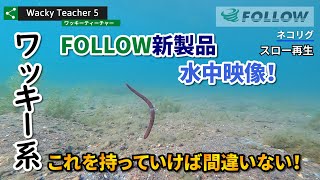 ワッキーティーチャー 五十嵐誠のルアーブランド「FOLLOW」 ワッキーティーチャー 五十嵐誠のルアーブランド「FOLLOW」