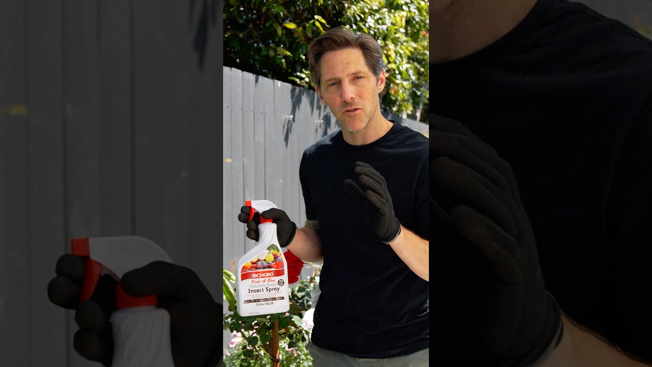 Keep your potted plants pest-free with Richgro Beat-A-Bug! 