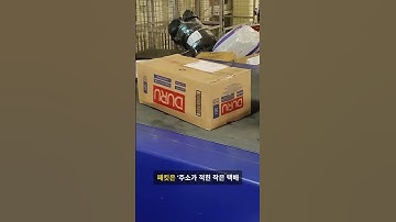 TCP/IP, 인터넷 계층 60초 정리 #tcpip  #인터넷계층 #IP주소 #네트워크 #코딩한입