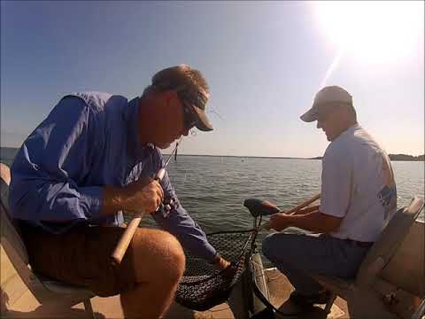 Video Santee catfish guides
