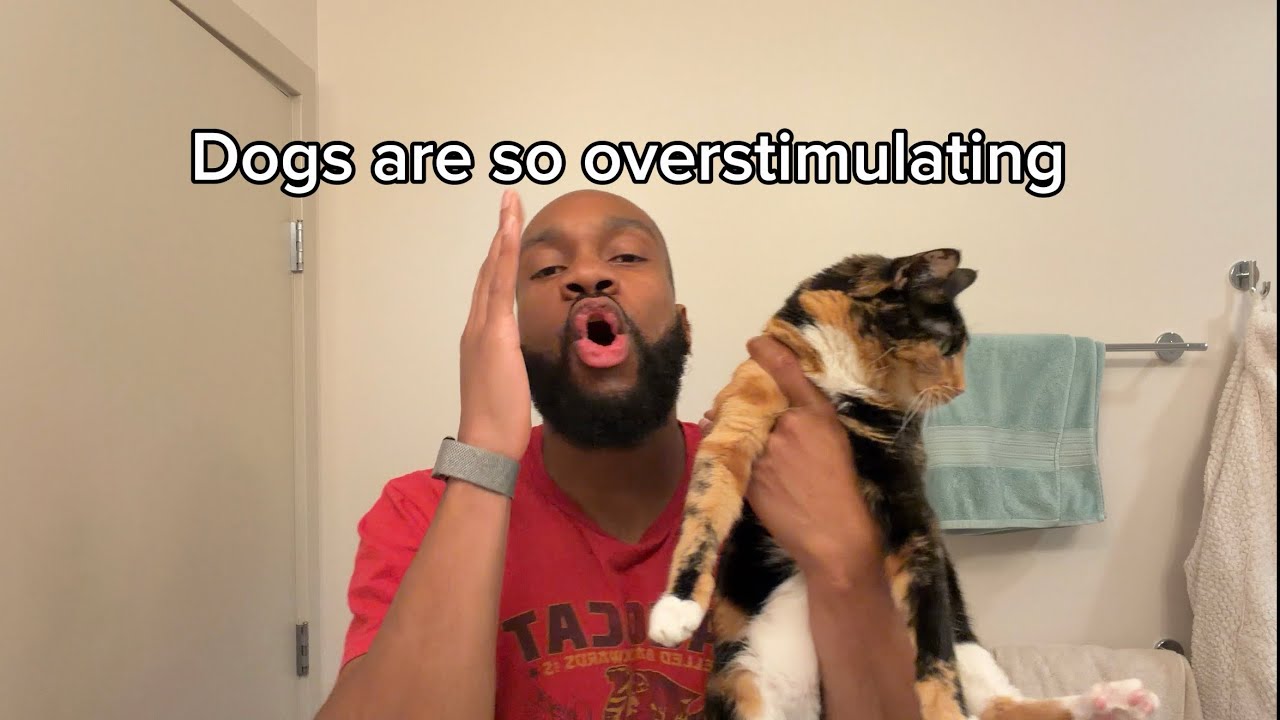 Dogs are the WORST PETS 