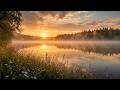 Deep Focus Music for Studying | Calm Lake Orchestra | 1 Hour