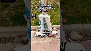 Günlük Mama Düzeneği Bakımı 🐾 Gün 66 ❤️ Sessiz canlar için temizlik ve taze mama #shorts #fyp #cat