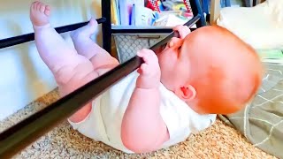 Funny Baby Videos - Adorable Babies Doing Funny Things