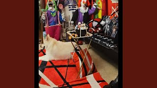 Look what you've done