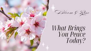 What Brings You Peace Today