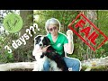 3-days out hiking? FAILED! Hiking and camping with your dog on the SGR Haspengouw - part 5