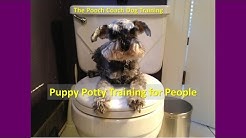 The Pooch Coach Youtube